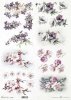 wiosenne kwiaty, kwiaty owocowe, fiołki, mak wschodni*spring flowers, fruit flowers, violets, eastern poppies*Frühlingsblumen, Obstblumen, Veilchen, Klatschmohn*flores de primavera, flores frutales, violetas, amapolas orientales